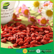 Kosher approved tasty and hot-selling chinese wolfberry dried goji berries